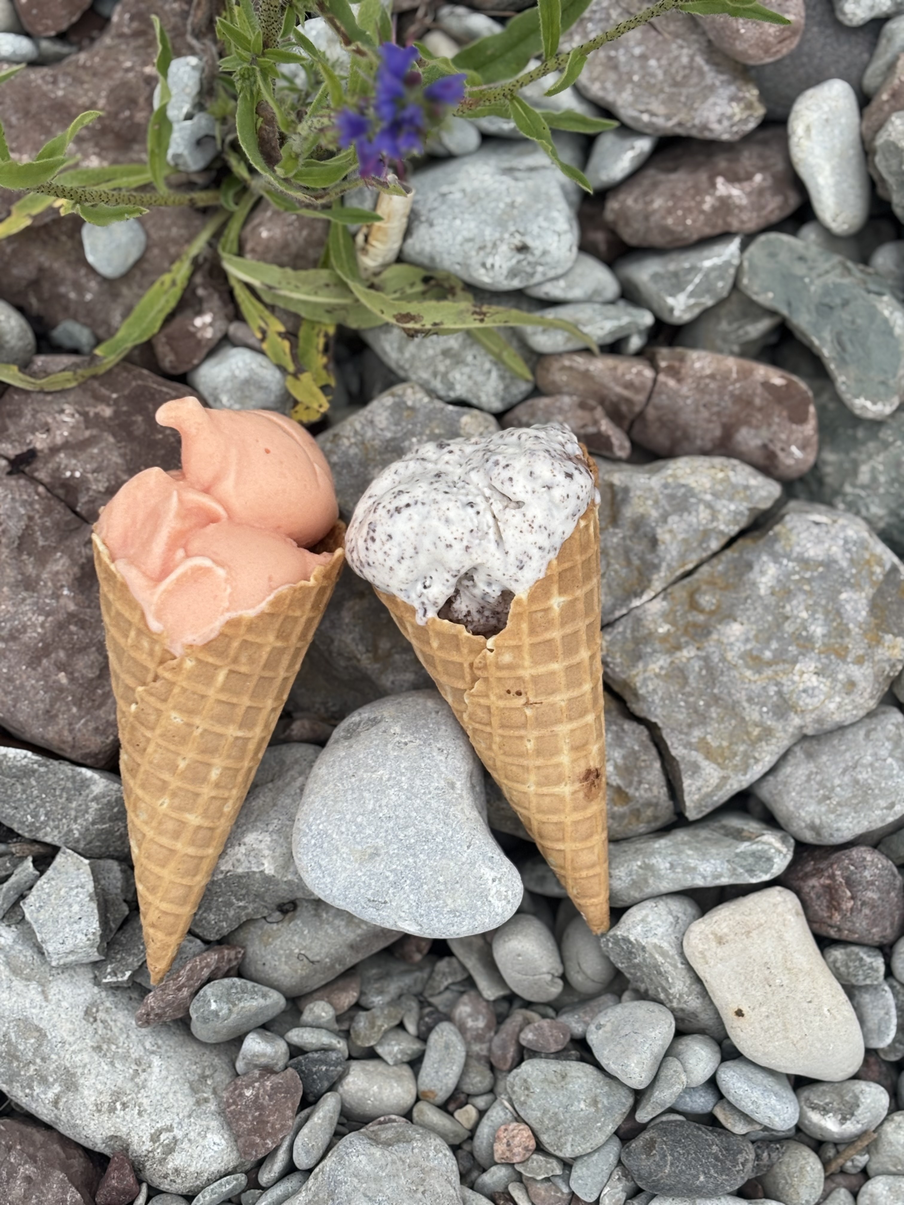 Gelato och sorbet