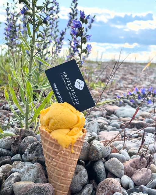 Gelato och sorbet